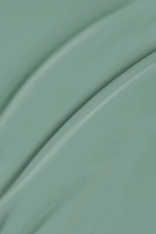 3038