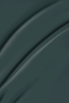 2933