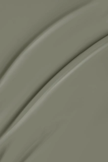 A490