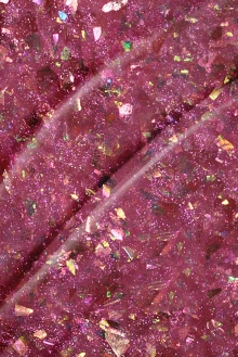 B305