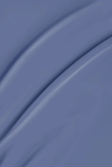 2061