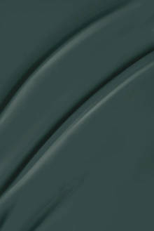 9733